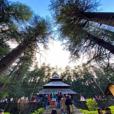 Himachal Family Tour Package