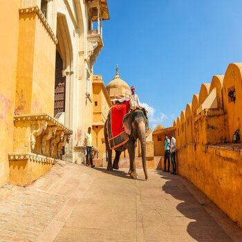 Rajasthan Family Tour Package