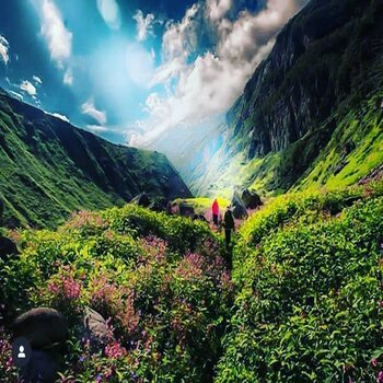 Valley Of Flowers Trip