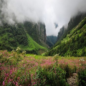 Chardham Yatra With Valley of Flowers